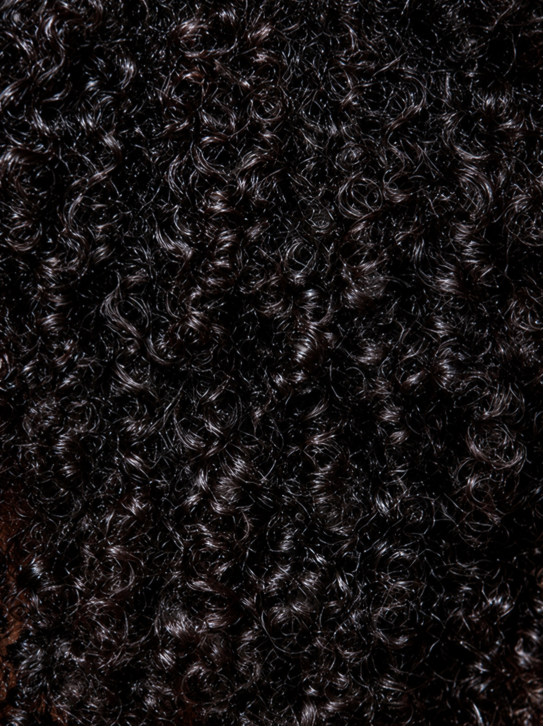 Curly hair imagery from the Camille Rose website